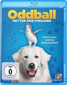 Oddball - Retter der Pinguine [Blu-ray]