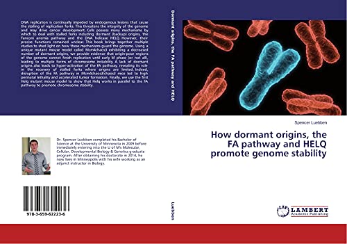 How dormant origins, the FA pathway and HELQ promote genome stability