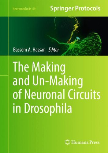 The Making and Un-Making of Neuronal Circuits in Drosophila (Neuromethods)