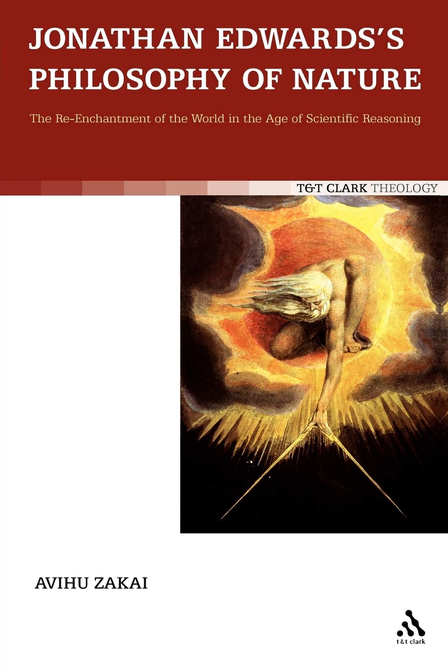 Jonathan Edwards's Philosophy of Nature: The Re-Enchantment of the World in the Age of Scientific Reasoning (T & T Clark Theology)