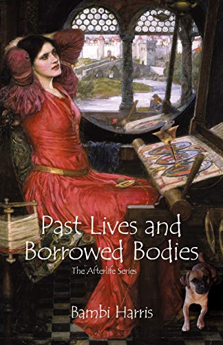 Past Lives and Borrowed Bodies: The Afterlife Series