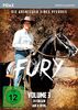 Fury - Die Abenteuer eines Pferdes, Volume 3 [4 DVDs]