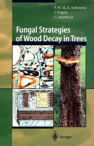 Fungal Strategies of Wood Decay in Trees