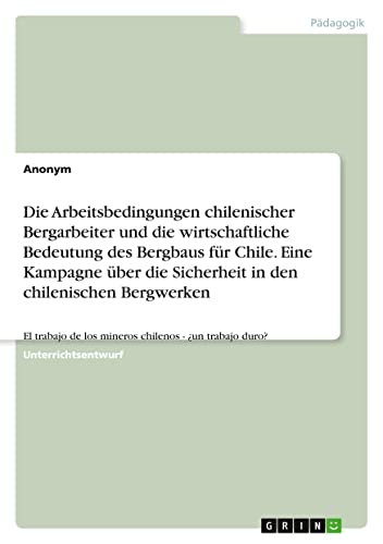 Die Arbeitsbedingungen chilenischer Bergarbeiter und die wirtschaftliche Bedeutung des Bergbaus für Chile. Eine Kampagne über die Sicherheit in den ... de los mineros chilenos - ¿un trabajo duro?