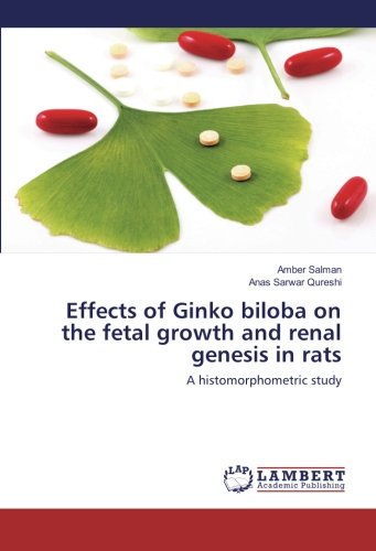 Effects of Ginko biloba on the fetal growth and renal genesis in rats: A histomorphometric study