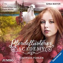 Pferdeflüsterer-Academy. Calypsos Fohlen [6] (Die Pferdeflüsterer-Academy)