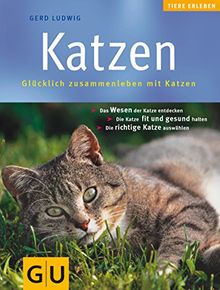 Katzen (GU Altproduktion HHG)