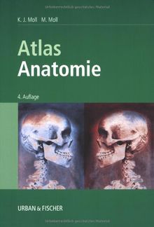 Atlas Anatomie