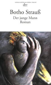 Der junge Mann: Roman