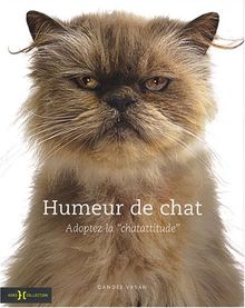 Humeur de chat : adoptez la chatattitude