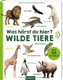 Was hörst du hier? - Wilde Tiere