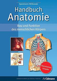 Handbuch Anatomie Bau Und Funktion Des Menschlichen Korpers Von Erwin Josef Speckmann