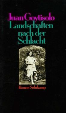 Landschaften nach der Schlacht: Roman