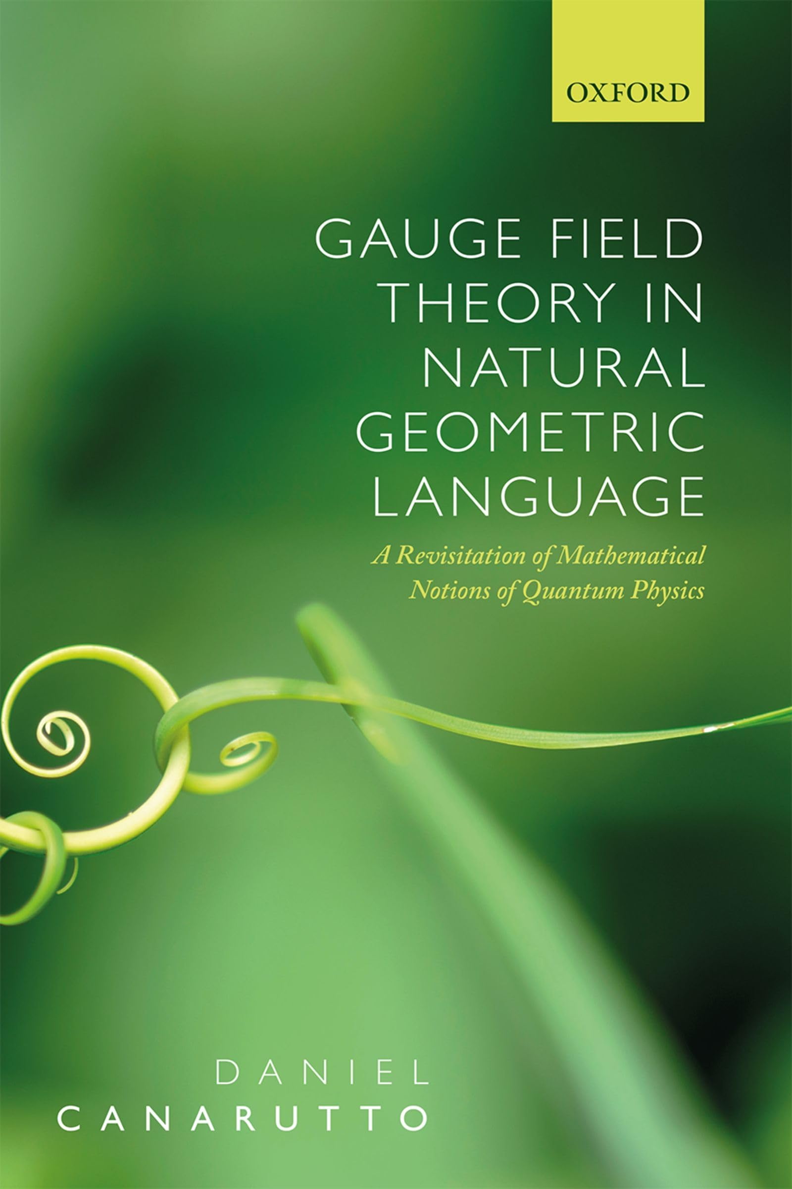 GAUGE FIELD THEORY WITHOUT GROUPS C: A Revisitation of Mathematical Notions of Quantum Physics