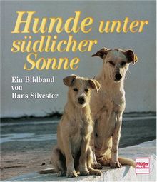 Hunde unter südlicher Sonne