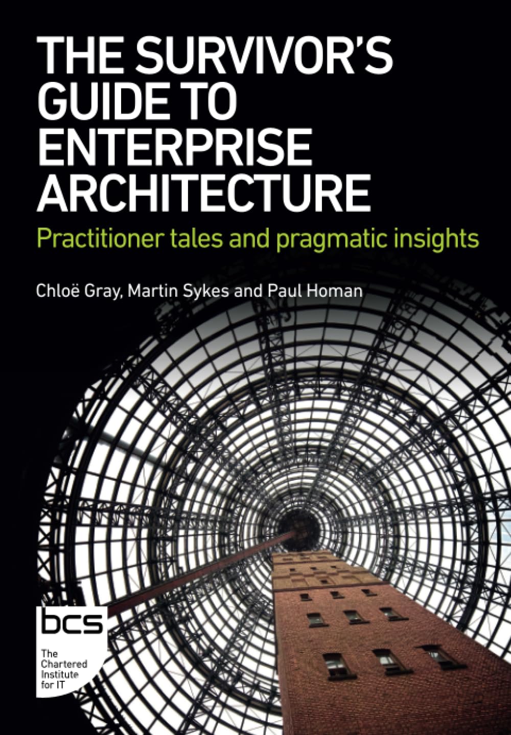 Gray, Mrs Chloe The Survivor's Guide To Enterprise Architecture, Practitioner Tales And Pragmatic Insights