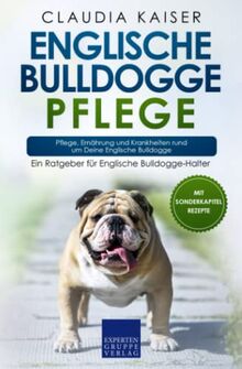 Englische Bulldogge Pflege: Pflege, Ernährung und Krankheiten rund um Deine Englische Bulldogge