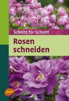 Rosen schneiden: Schnitt für Schnitt