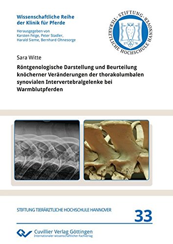 Röntgenologische Darstellung und Beurteilung knöcherner Veränderungen der thorakolumbalen synovialen Intervertebralgelenke bei Warmblutpferden (Wissenschaftliche Reihe der Klinik für Pferde)