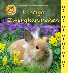 Lustige Zwergkaninchen