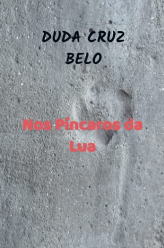 Nos Píncaros da Lua
