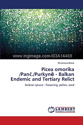 Picea omorika /Panč./Purkynĕ - Balkan Endemic and Tertiary Relict: Serbian spruce - flowering, pollen, seed