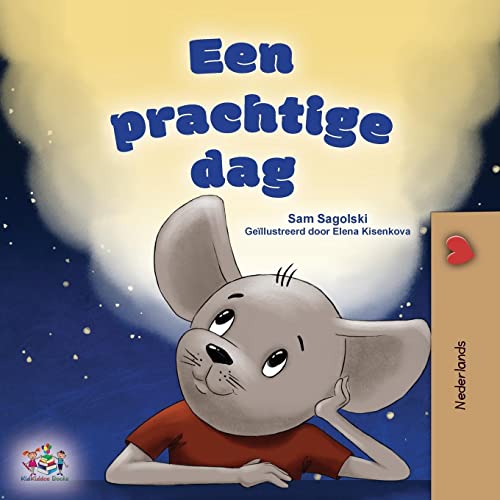 A Wonderful Day (Dutch Children's Book) (Dutch Bedtime Collection)