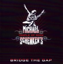 Bridge The Gap