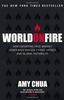 World On Fire: How Exporting Free Market Democracy Breeds Ethnic Hatred