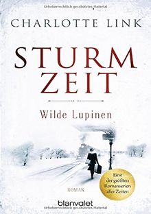 Sturmzeit - Wilde Lupinen: Roman (Die Sturmzeittrilogie, Band 2)