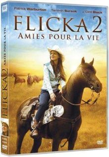 FLICKA 2