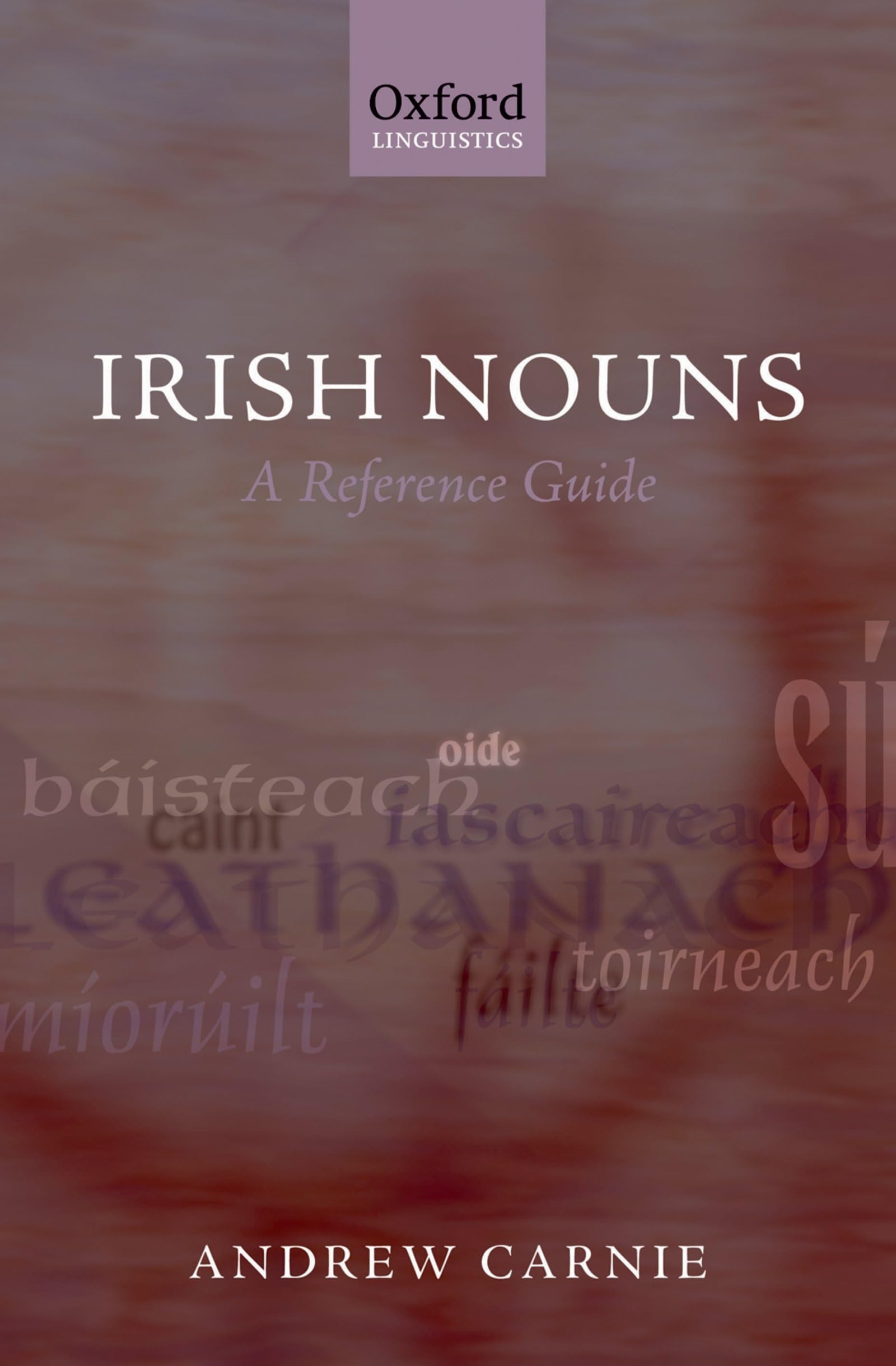 Irish Nouns: A Reference Guide (Oxford Linguistics)