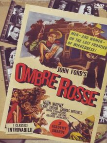 Ombre rosse [IT Import]