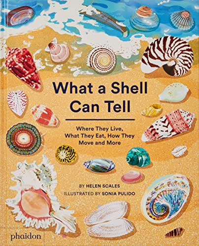 Helen Scales What A Shell Can Tell , Where They Live, What They Eat, How They Move And More