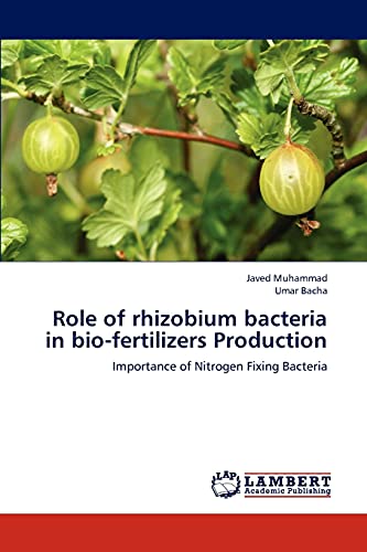Role of rhizobium bacteria in bio-fertilizers Production: Importance of Nitrogen Fixing Bacteria