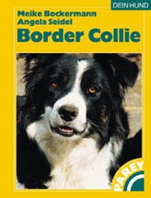 Der Border Collie