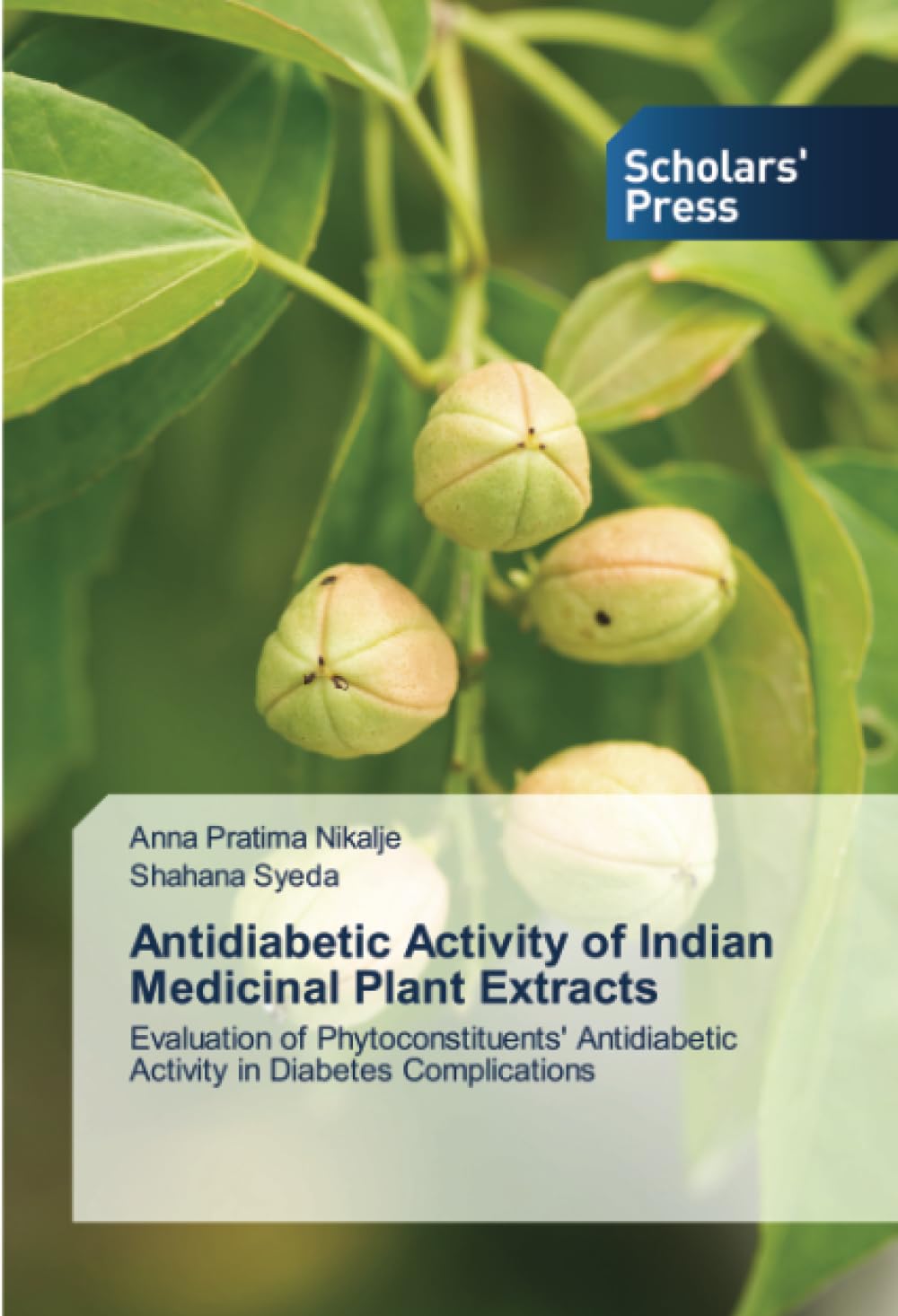 Antidiabetic Activity of Indian Medicinal Plant Extracts: Evaluation of Phytoconstituents' Antidiabetic Activity in Diabetes Complications