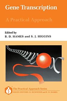 Gene Transcription: A Practical Approach (Practical Approach Series)